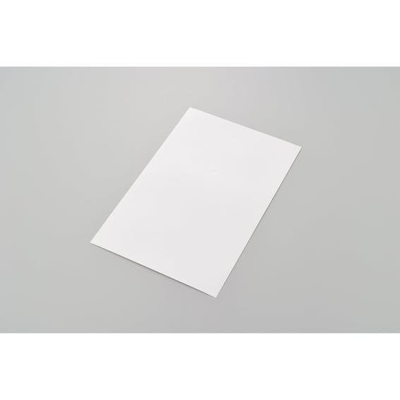 Protection sticker. Clear