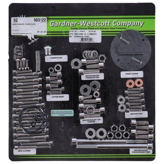 Motor screw set, polished ss allen