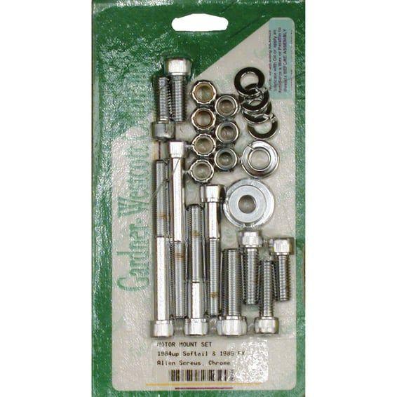 Motor mount screw kit, allen