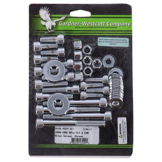 Motor mount screw kit, allen