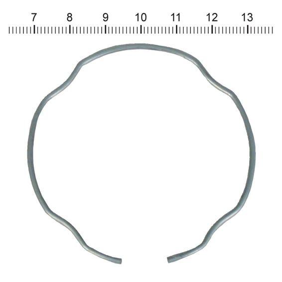James, retaining ring for fork seal